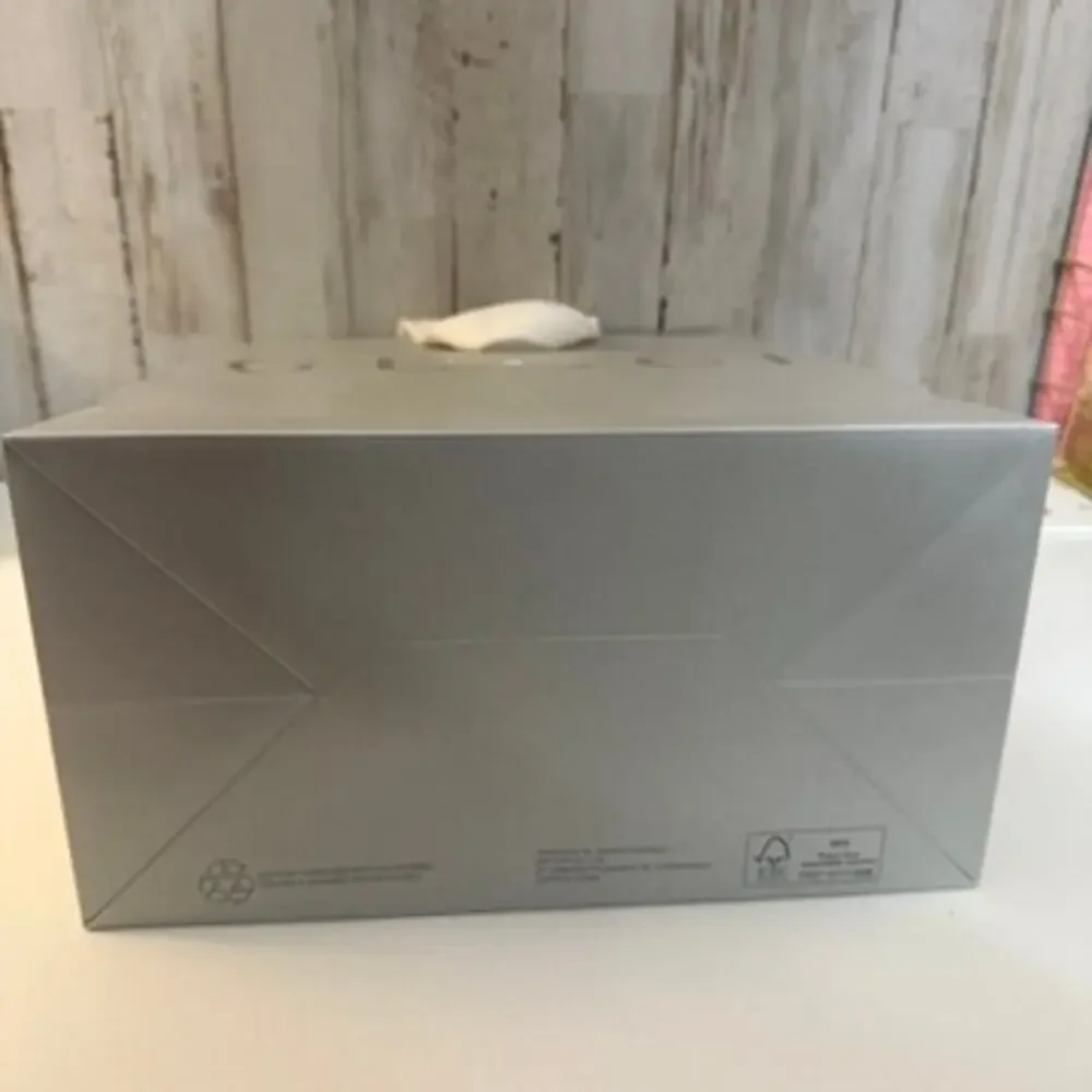 Gucci Boutique Shopping Gift Bag Silver White Ribbon Handles Reusable